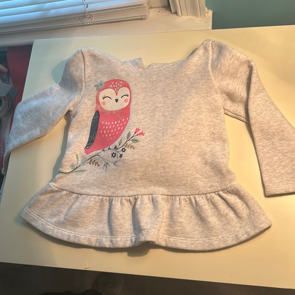 Carters gray and pink hooded long sleeve sweatshirt - Picture 1 of 2
